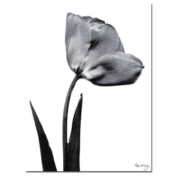 Trademark Fine Art Kathie McCurdy 'Tulip' Canvas Art, 18x24 KM0123-C1824GG